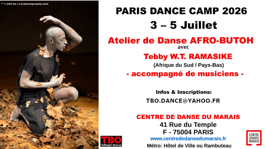 Stage de danse Afro Fusion - Dimance 22 mars - Centre de danse du Marais - Paris